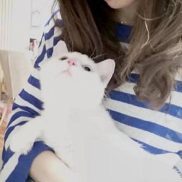 Xiaoqin Feng