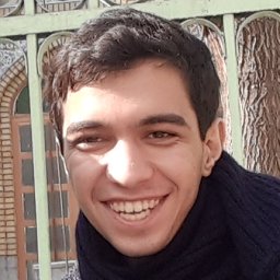 Mohammad Hossein Amini