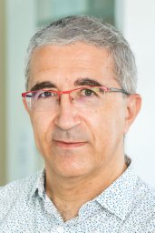 Renaud Marlet
