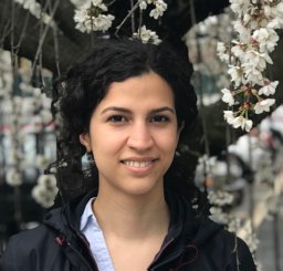 Helia Hashemi