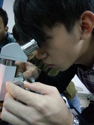 Cai Kuanqi