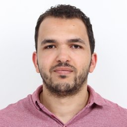 Ahmed H. Shahin