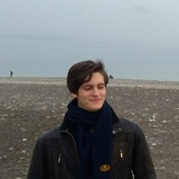 Mikhail Andronov