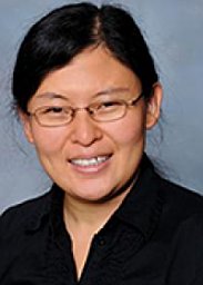 Jin Kocsis (Jin Wei-Kocsis)