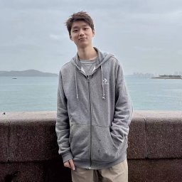 Yinlin Zhu