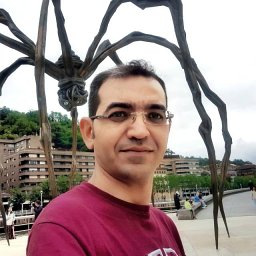 Mohammadhossein Homaei