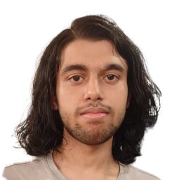 Aditya Srinivas Menon