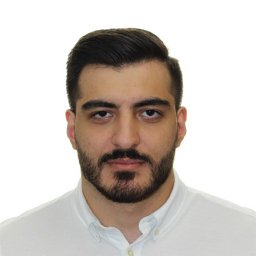 Amirhossein Razavi