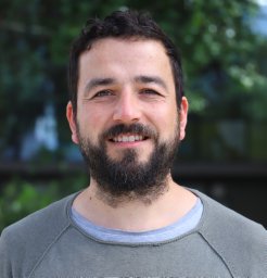 Stefan Escaida Navarro