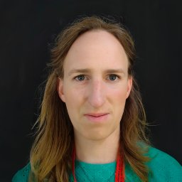 Niki van Stein