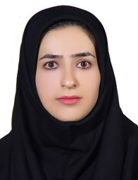 Mahnaz Boush