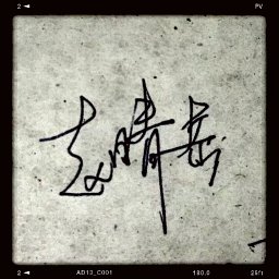 Qingyue Zhao