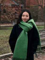 Hongying Wu