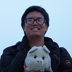 The-Anh Vu-Le