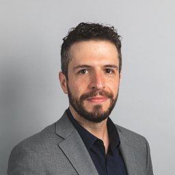 Luiz F. O. Chamon