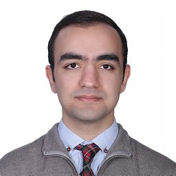 Nariman Niknejad