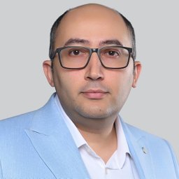 Walid A. Hanafy