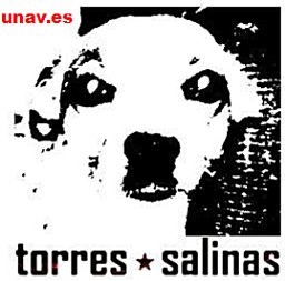 Daniel Torres-Salinas