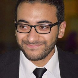 Mohammed Amer
