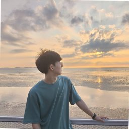 Hyunwoo Ko