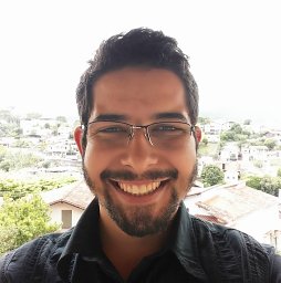 Pedro Henrique Lopes Silva