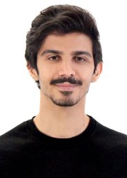 Hadi Reisizadeh