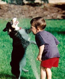 Haitao Li