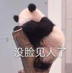 Xiuyi Chen