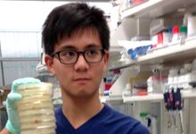 Patrick D. Hsu