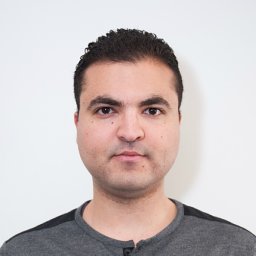 Wael Kessentini