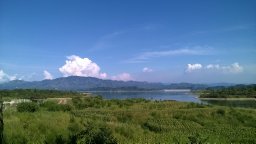Yan Song
