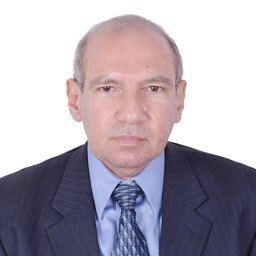 Hussein Elsayed