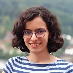Hannaneh Akrami