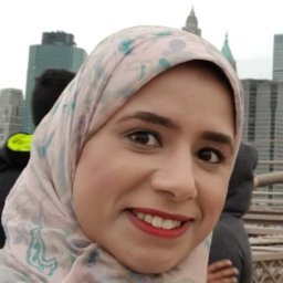 Marwa H. Farag