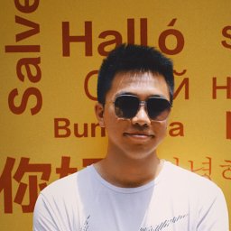 Zhenting Qi