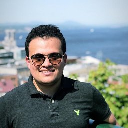 Ahmed H. Salamah