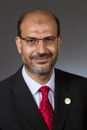 Abdel-Hameed A. Badawy