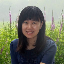 Shixia Liu