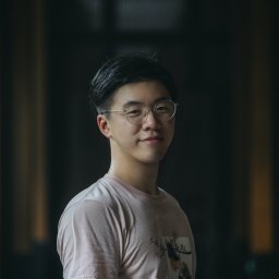 Qinghao Ye