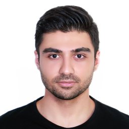 Mehrshad Saadatinia
