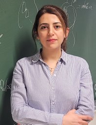 Nina H. Amini