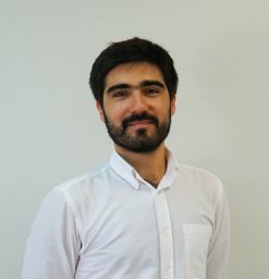 Flávio L. Pinheiro