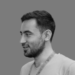 Mehran Hosseini