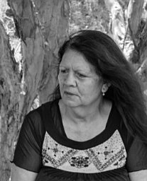 Glenys Collard