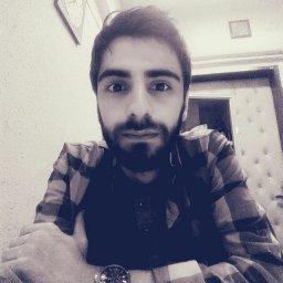 Erfan Mahmoudinia