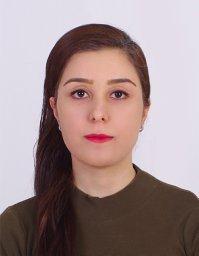 Fatemeh Sarvi