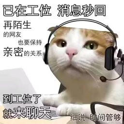 Sijin Chen