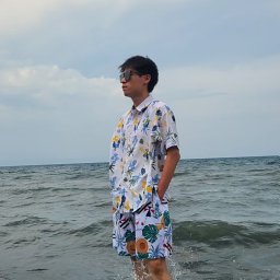 Haozhen Zhang