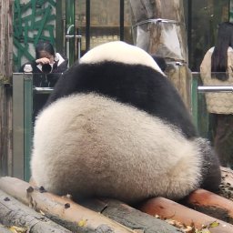 Xinhao Li