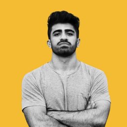 Mohammad Amin Roshani